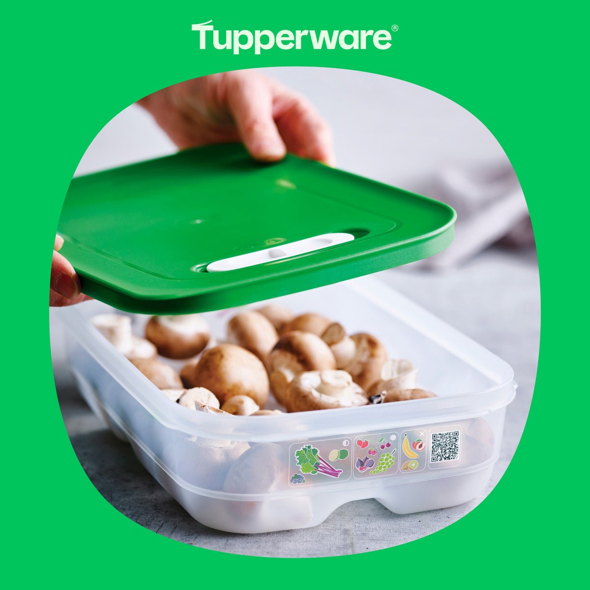 Boîte VentilOfrais basse 1,8 l - Tupperware Europe