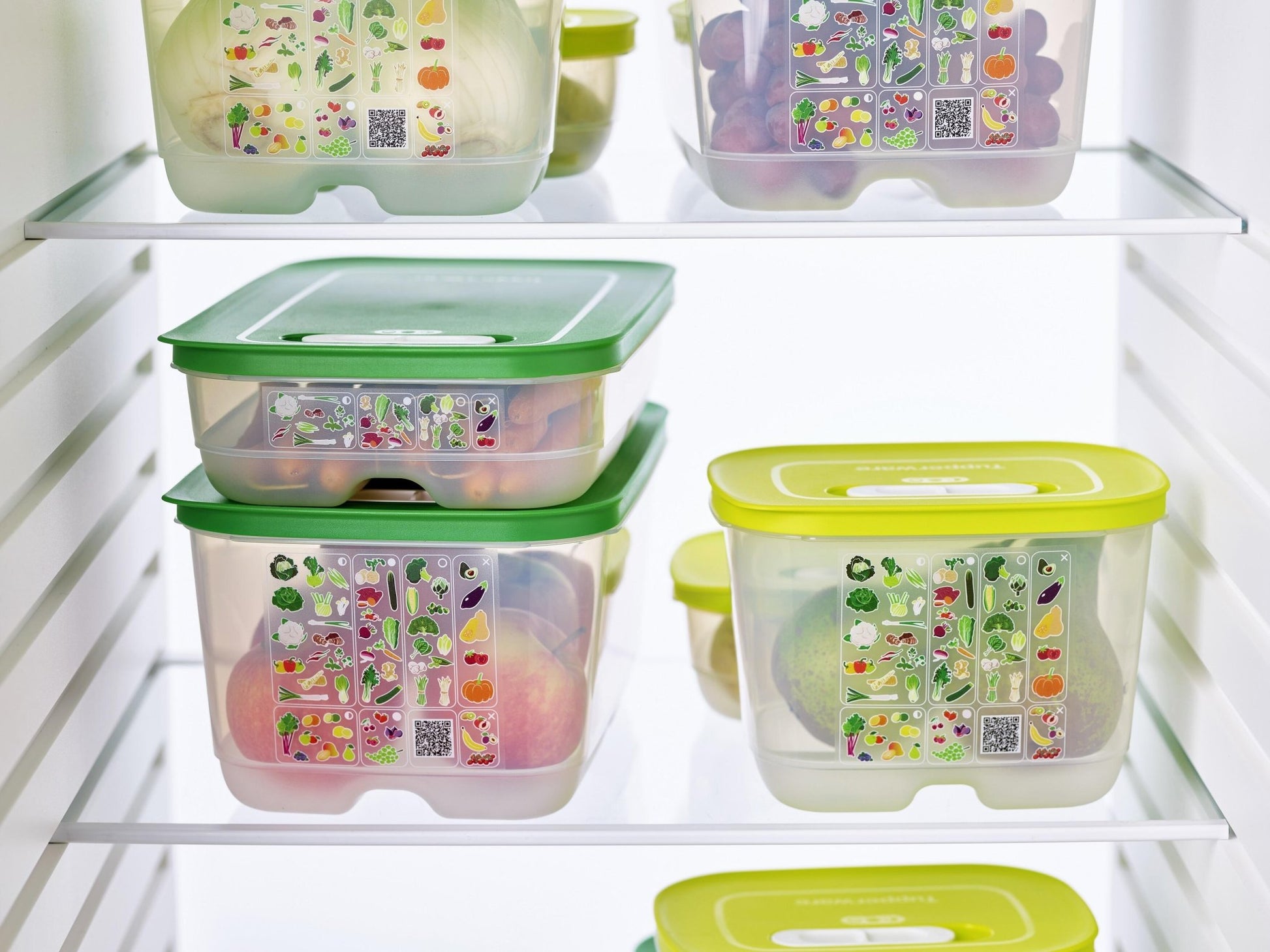 Boîte VentilOfrais basse 1,8 l - Tupperware Europe