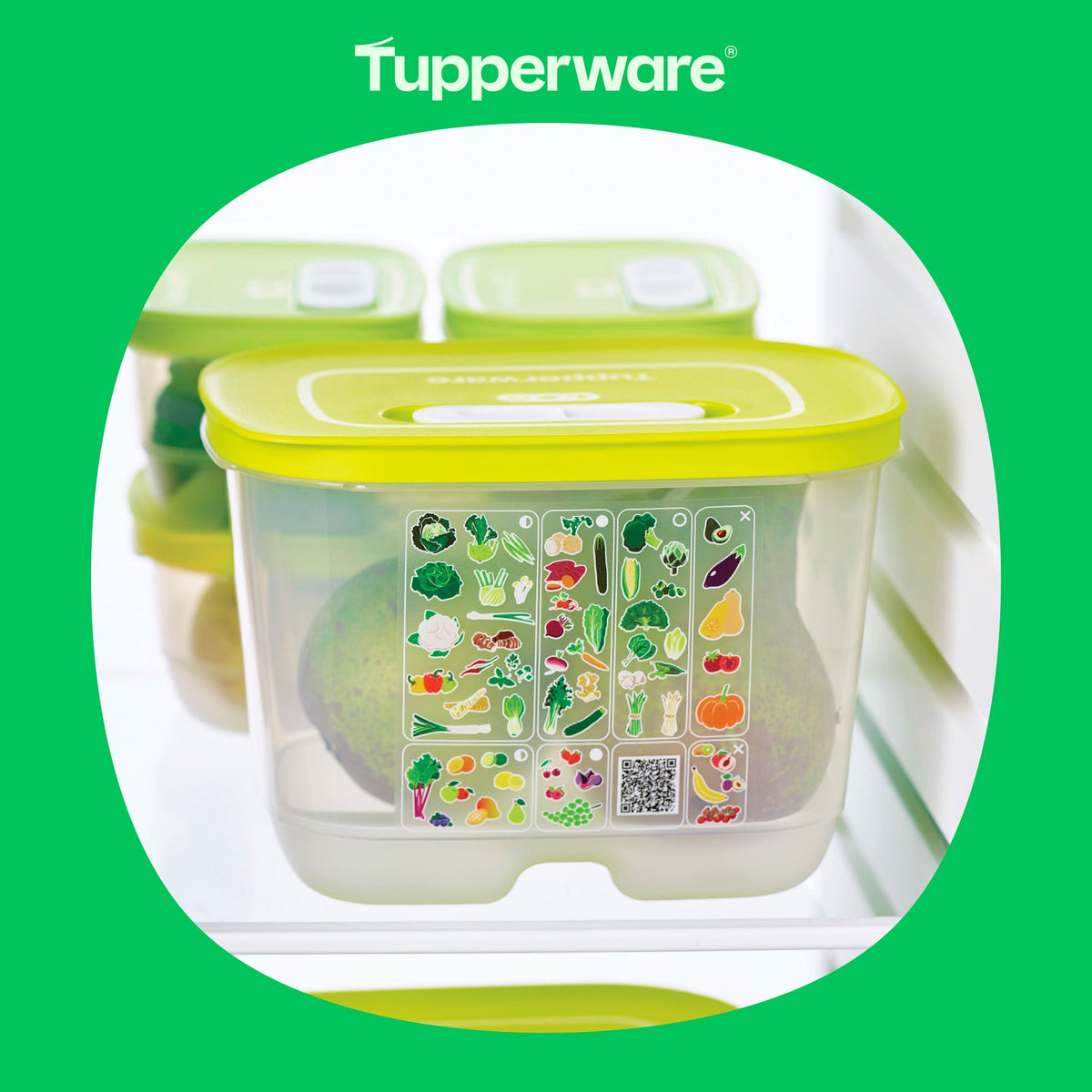 Tupperware®|Storage, Cooking & Sustainable Solutions – OOBO – TUPPERWARE FRANCE