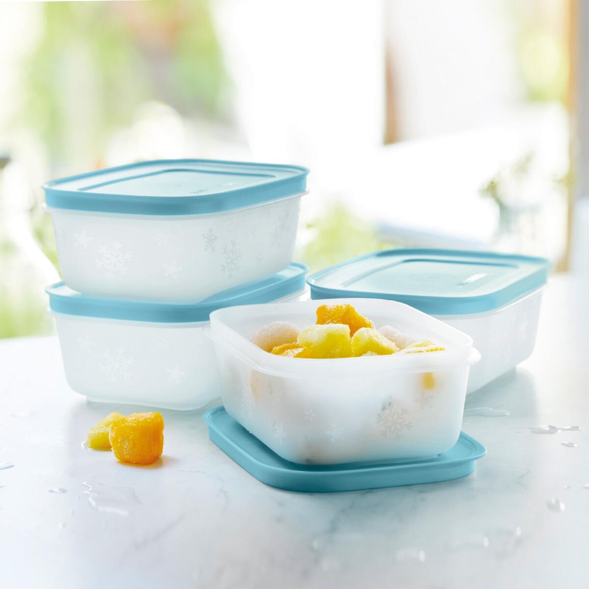 Boîtes Igloo 450 ml - Tupperware Europe