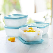 Boîtes Igloo 450 ml - Tupperware Europe