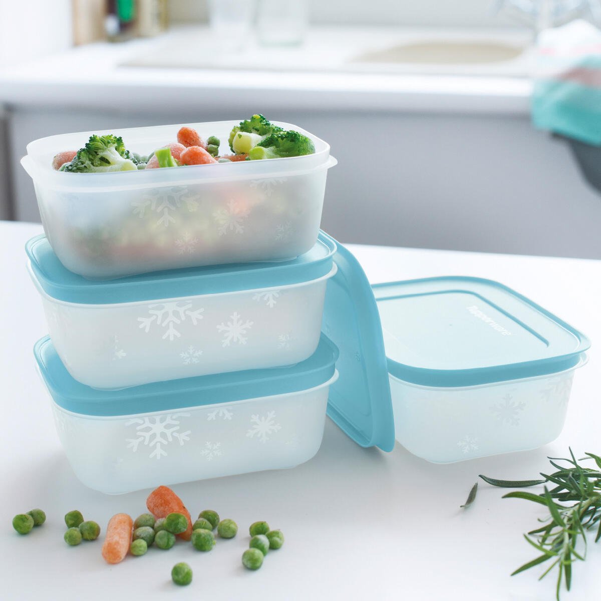Boîtes Igloo 450 ml - Tupperware Europe