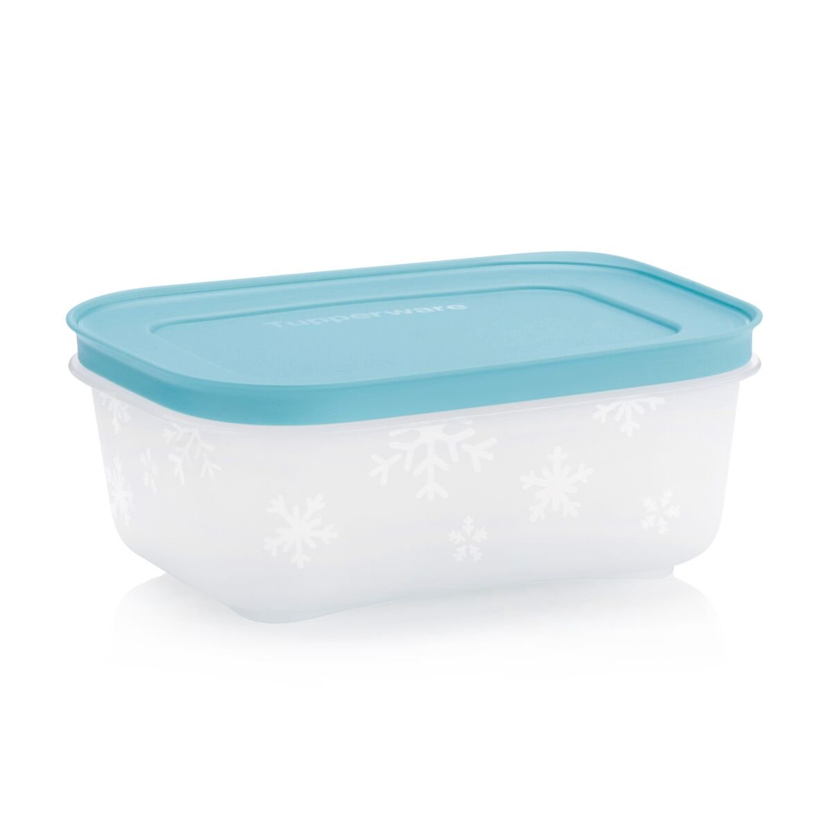 Boîtes Igloo 450 ml - Tupperware Europe