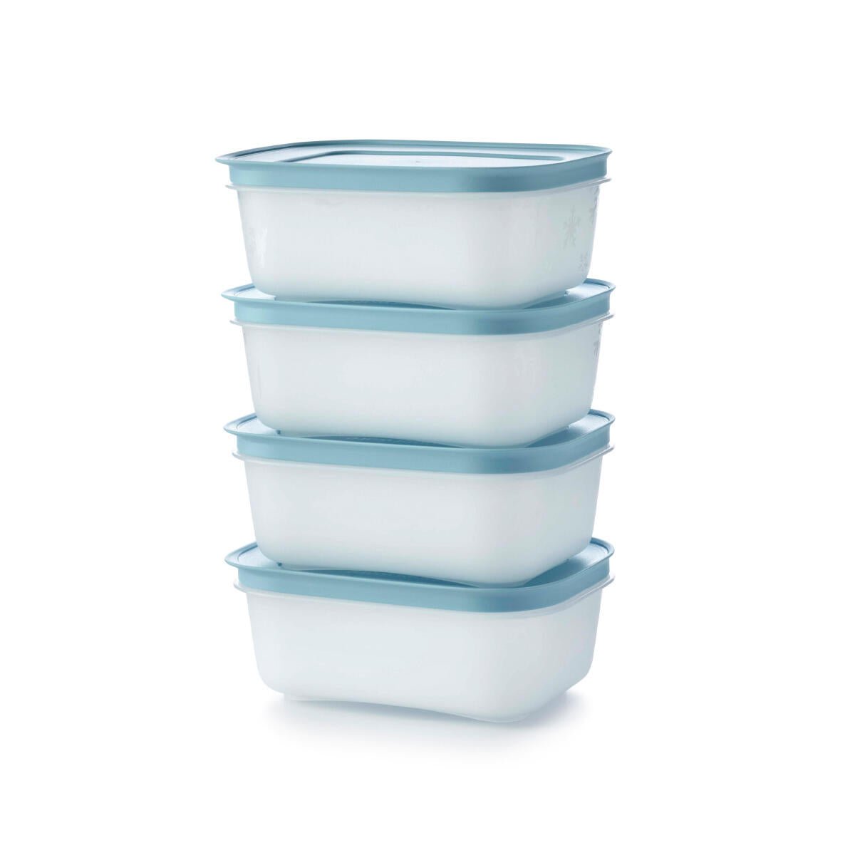 Boîtes Igloo 450 ml - Tupperware Europe