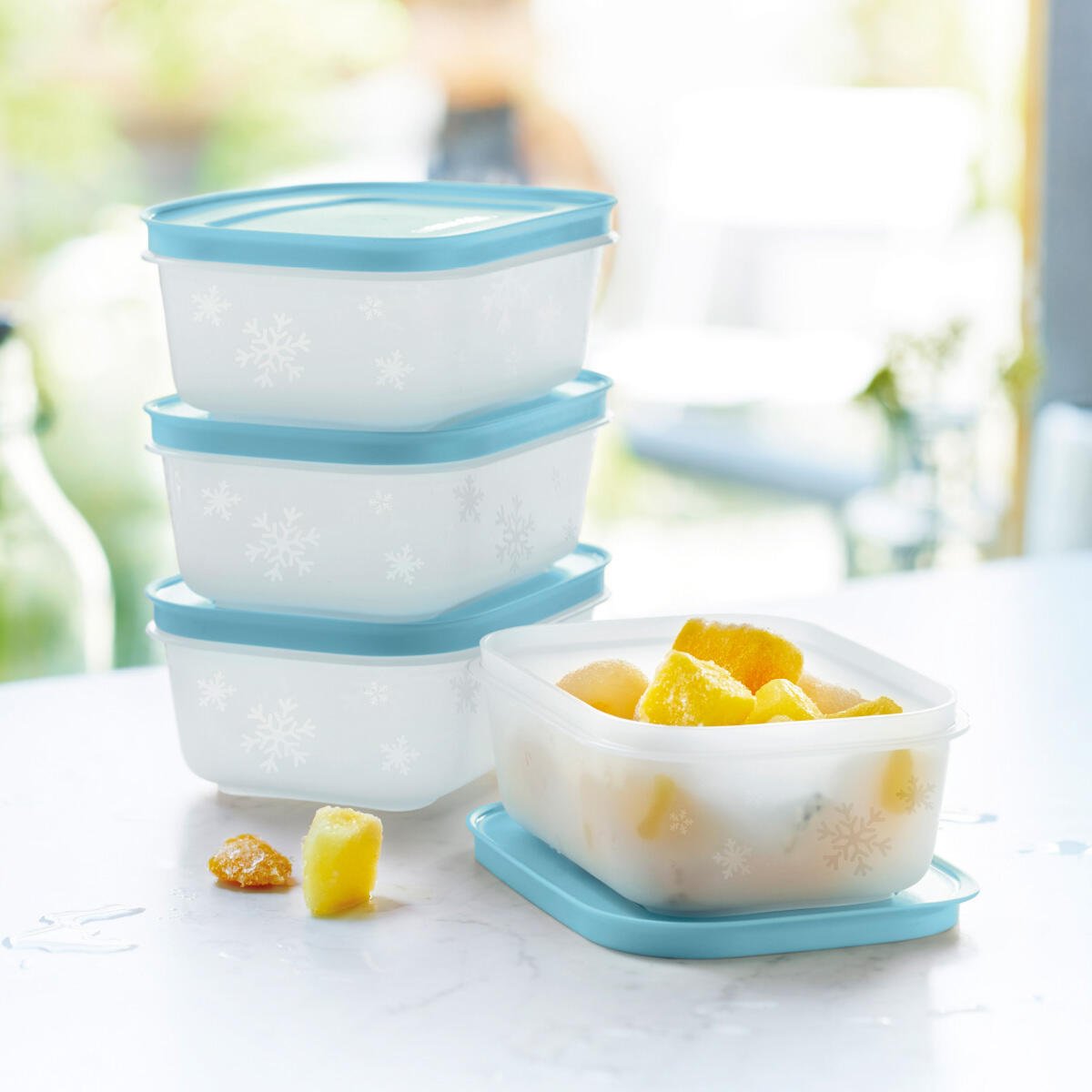 Boîtes Igloo 450 ml - Tupperware Europe