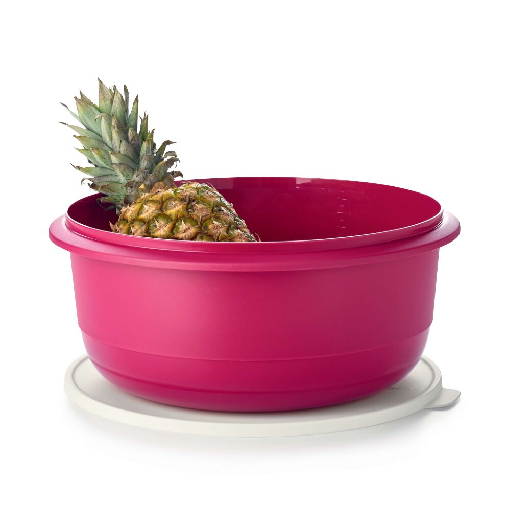 Bol à pâtisserie 9,5 l - Tupperware Europe