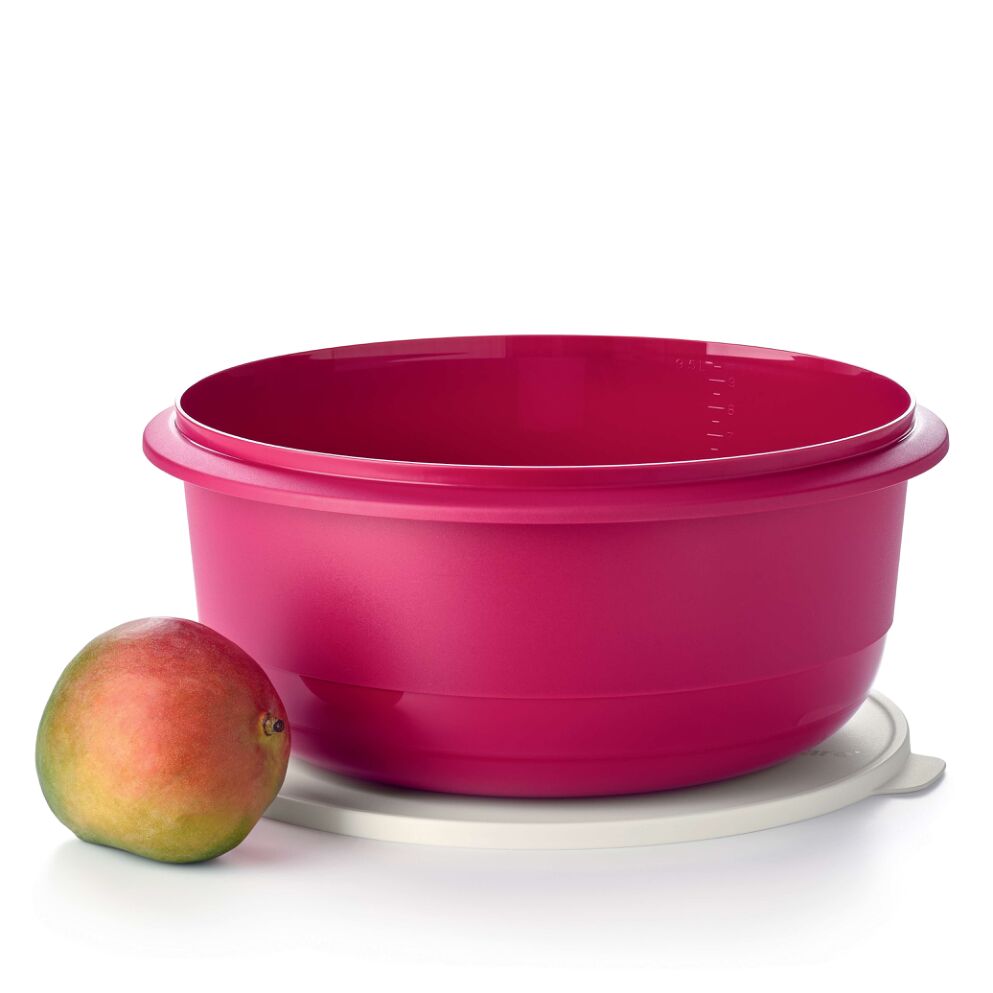 Bol à pâtisserie 9,5 l - Tupperware Europe