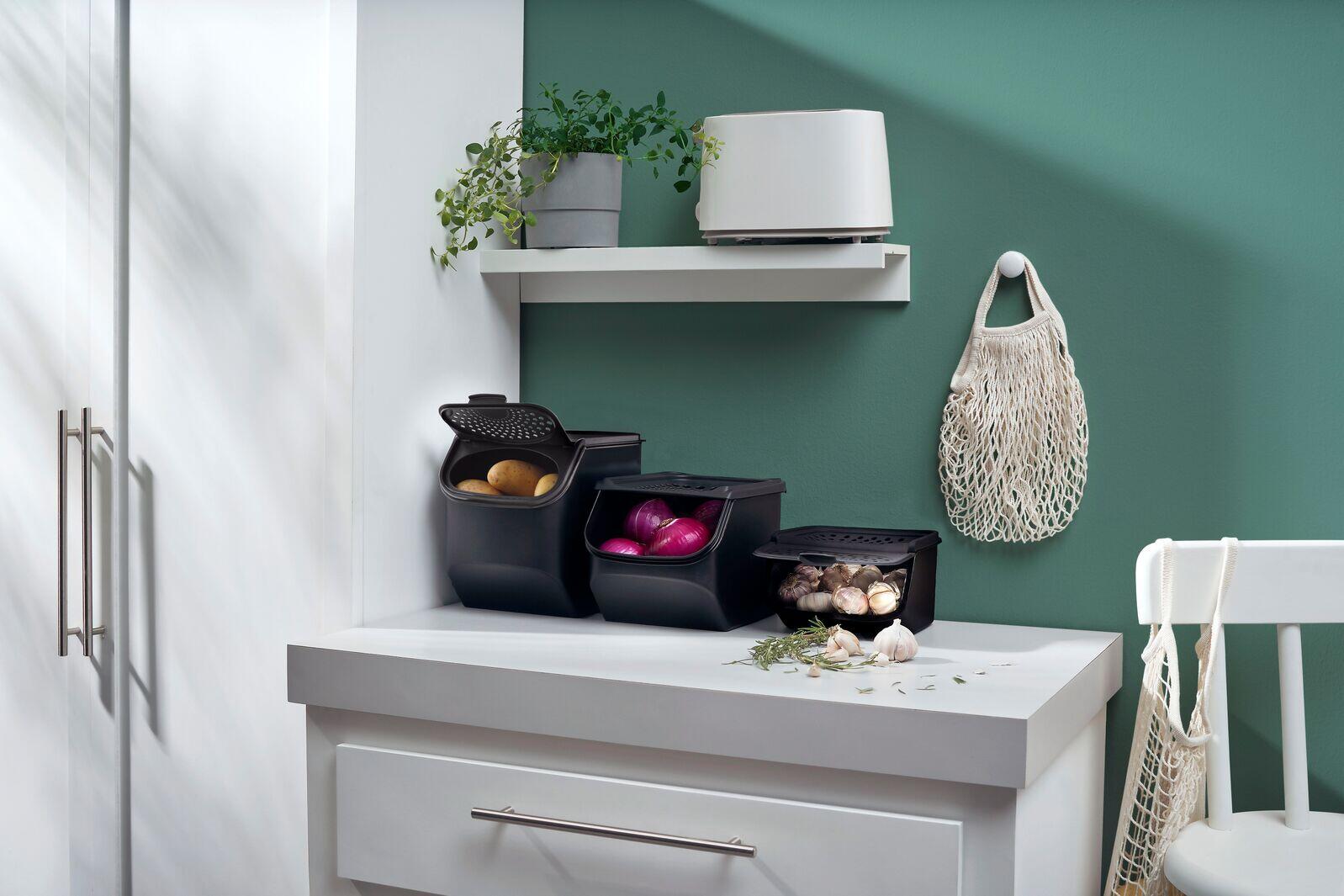 Coffre à ail & échalote 2,3 l - Tupperware Europe