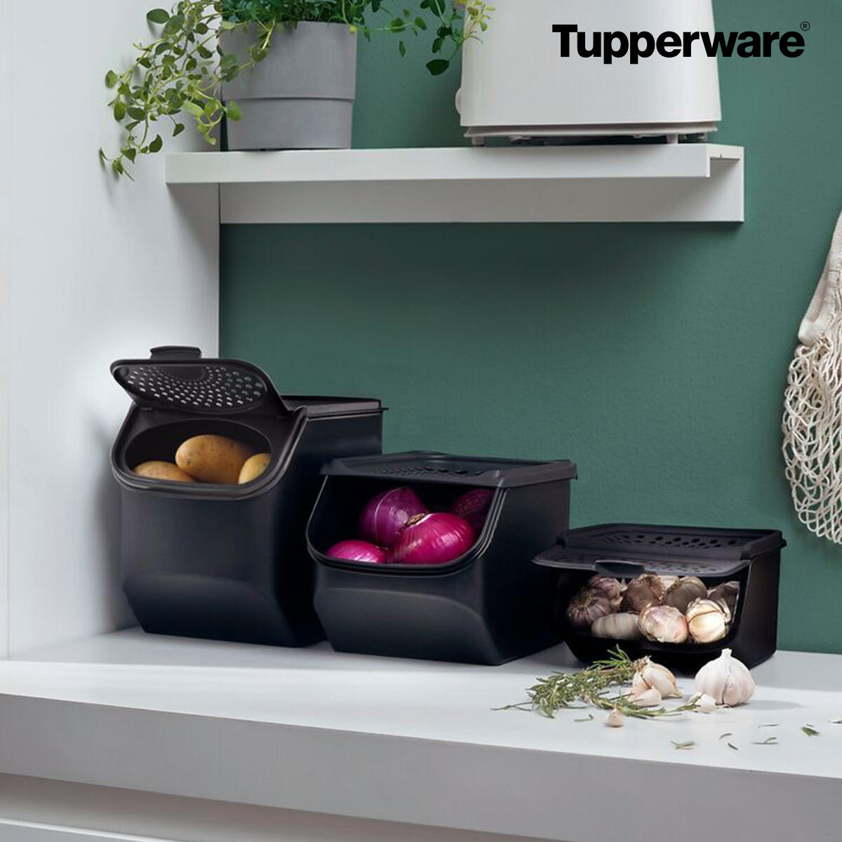 Coffre à ail & échalote 2,3 l - Tupperware Europe