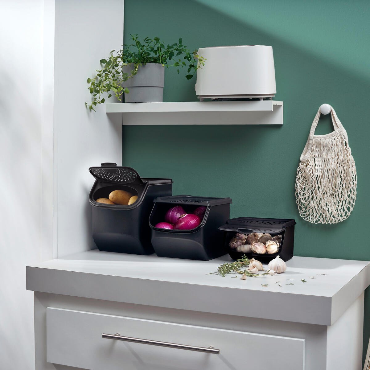 Ventilert potetboks 5,5 l | Tupperware® – OOBO – TUPPERWARE FRANCE