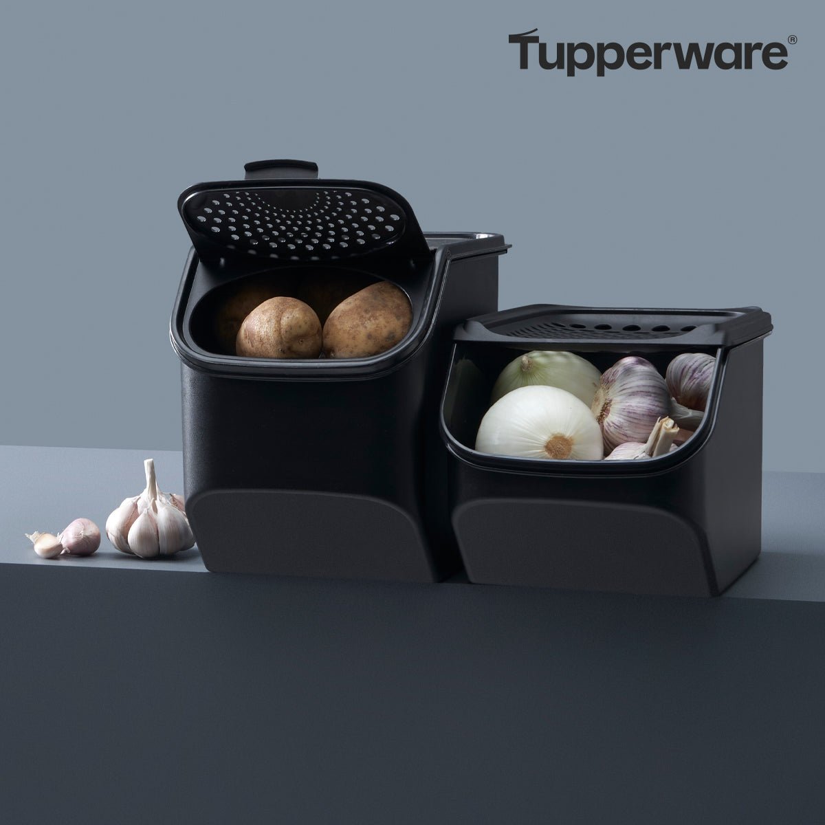Coffre à pommes de terre - retail - Tupperware Europe