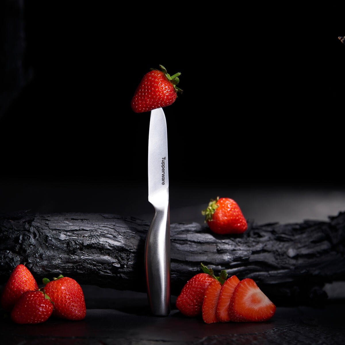 MASTRO Universalmesser – TUPPERWARE FRANCE