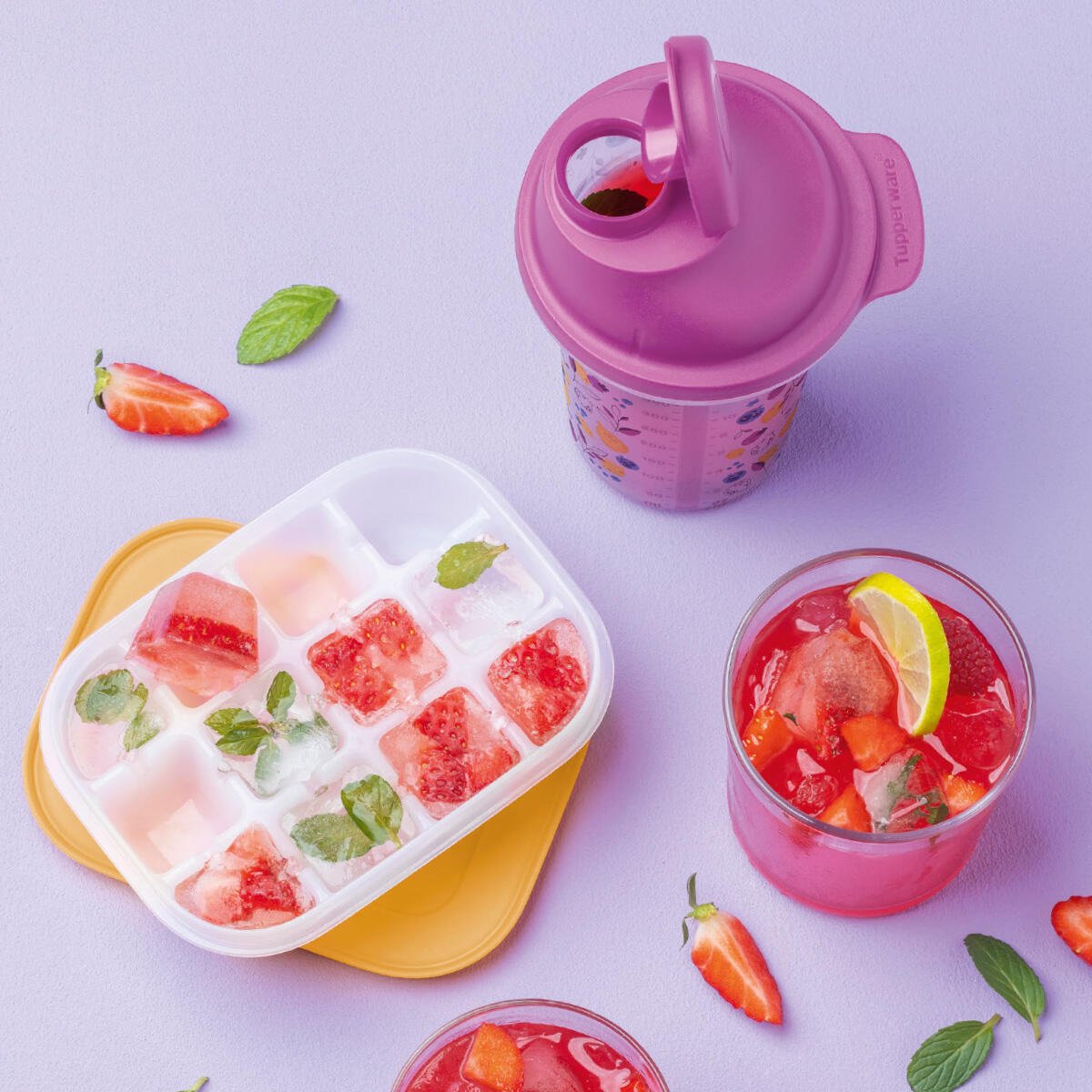 Cube Igloo - Tupperware Europe