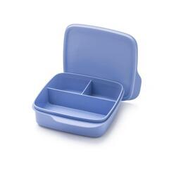 Lunch box 550 ml
