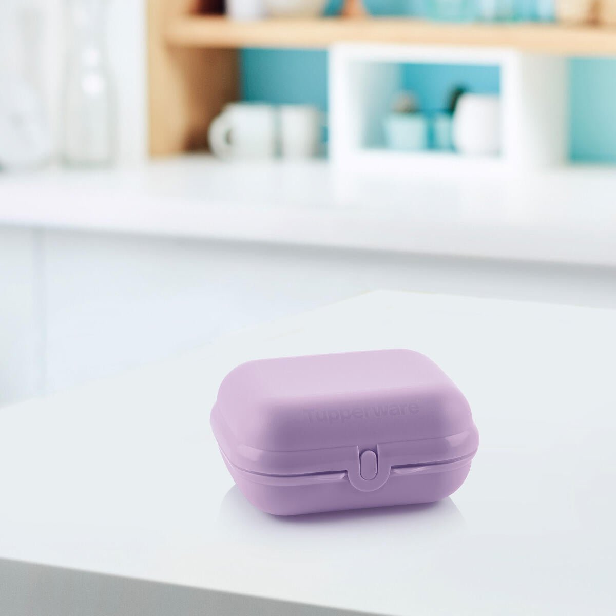 Eco Boîte à bêtises moyenne parme - Tupperware Europe