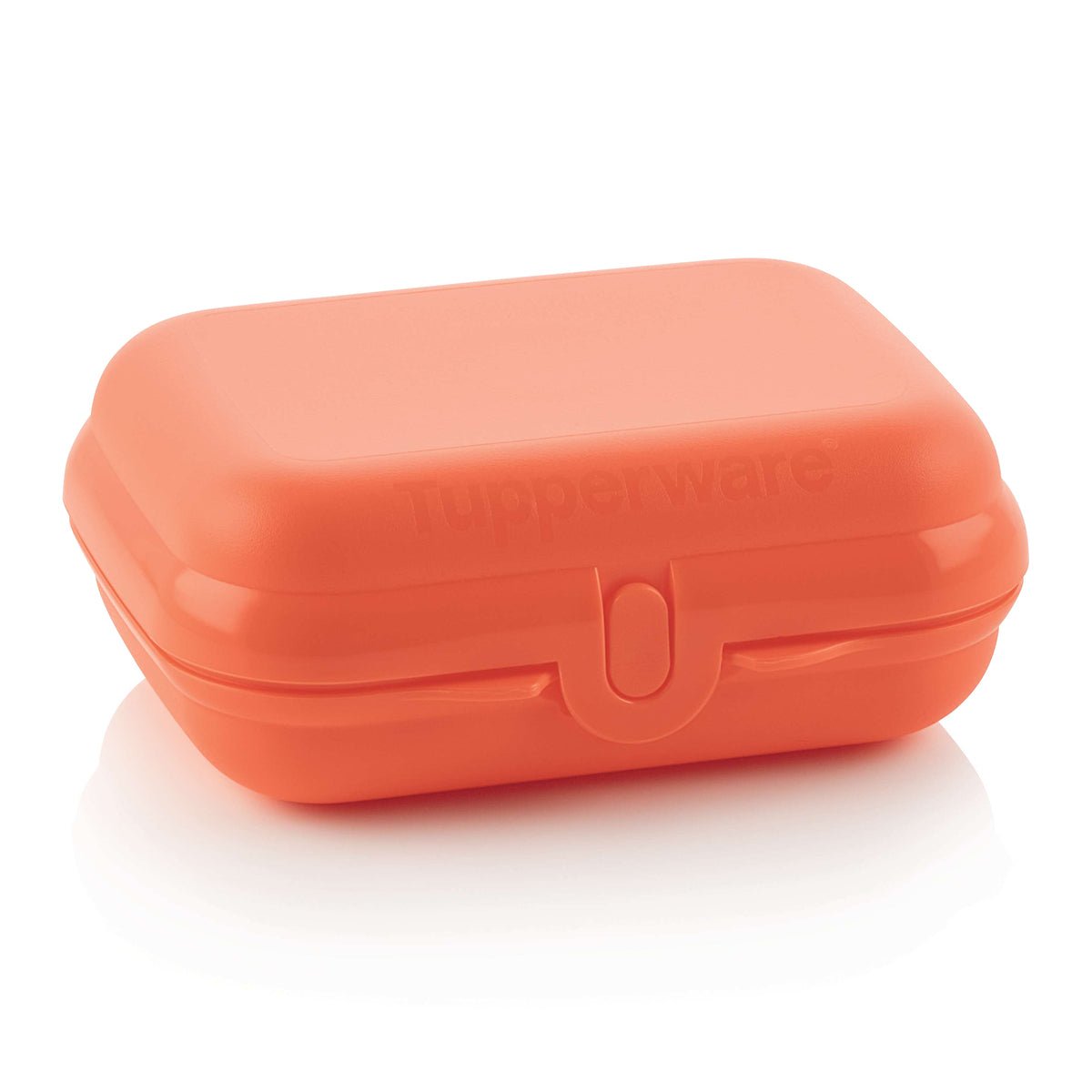 Éco Boîte à bêtises petite - Tupperware Europe