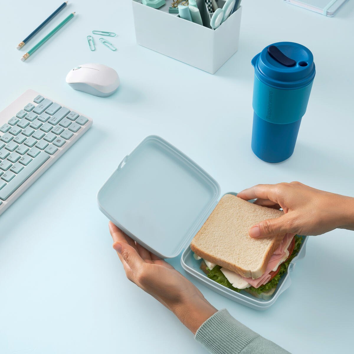 Éco Boîte à sandwich - Tupperware Europe