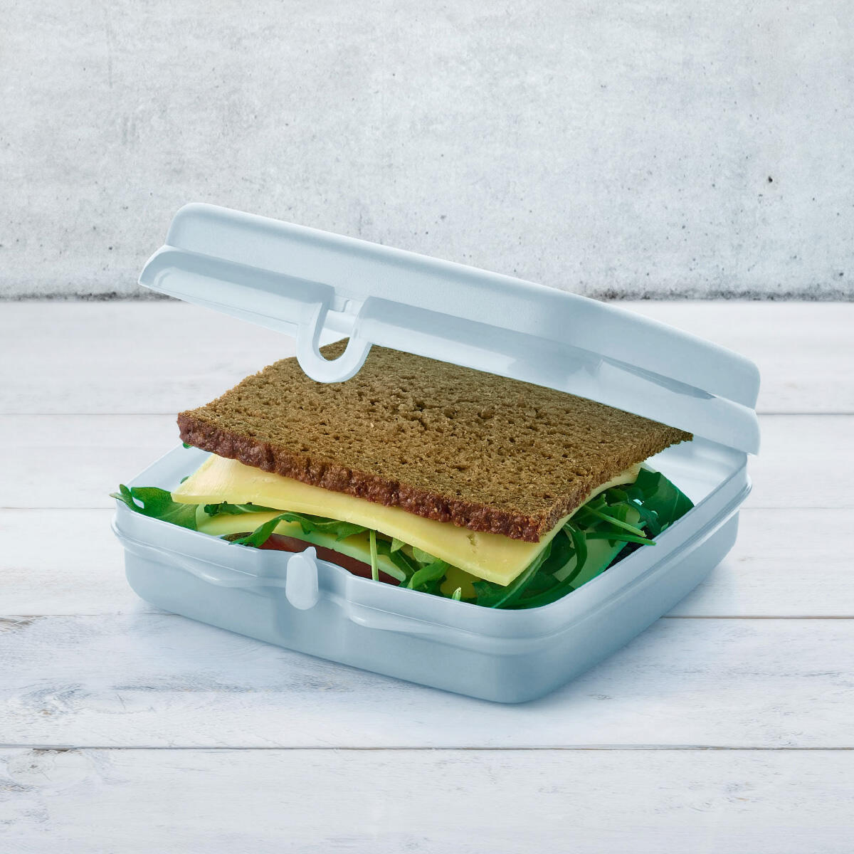 Boîte à sandwich éco réutilisable carrée