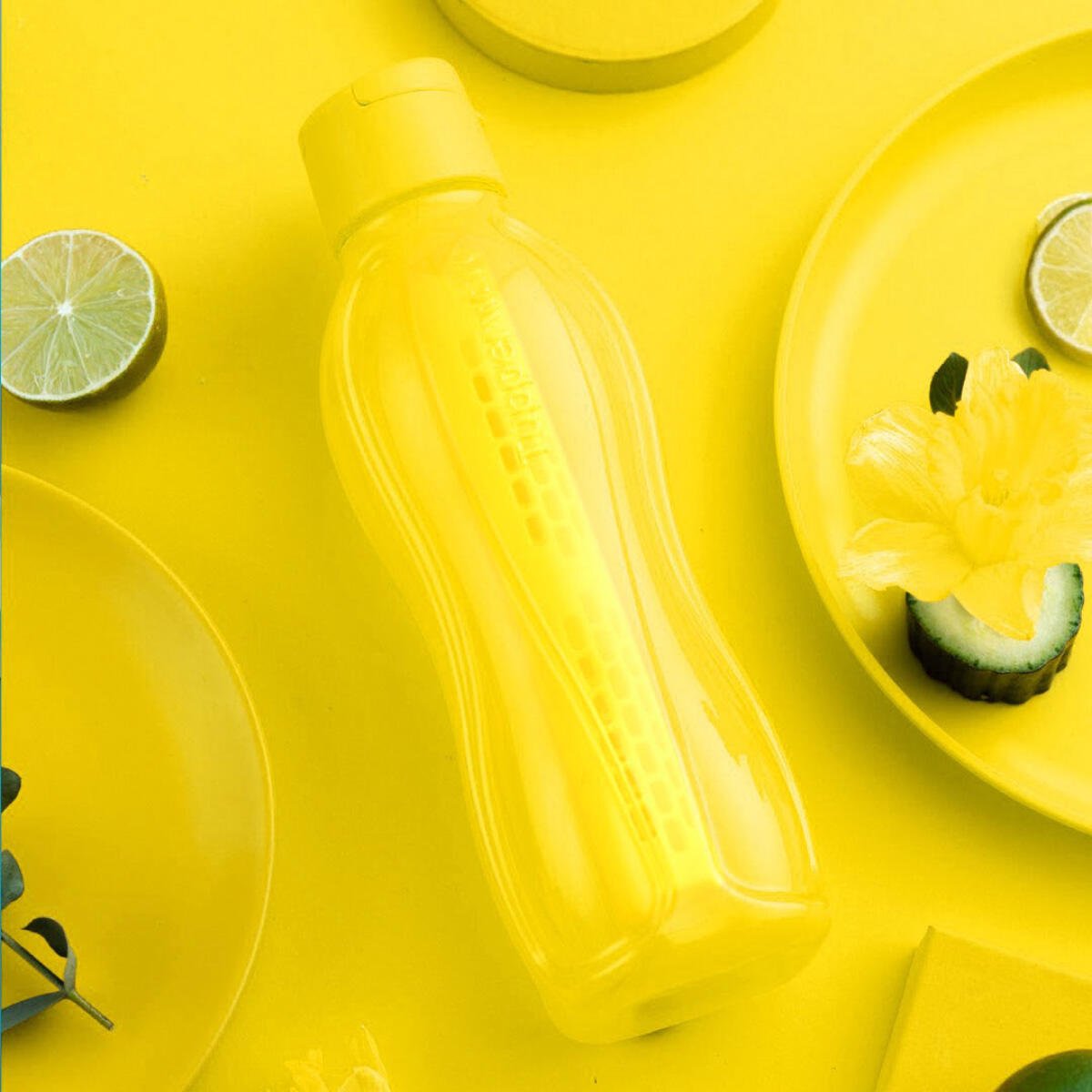 Eco Bouteille 750ml - Tupperware Europe