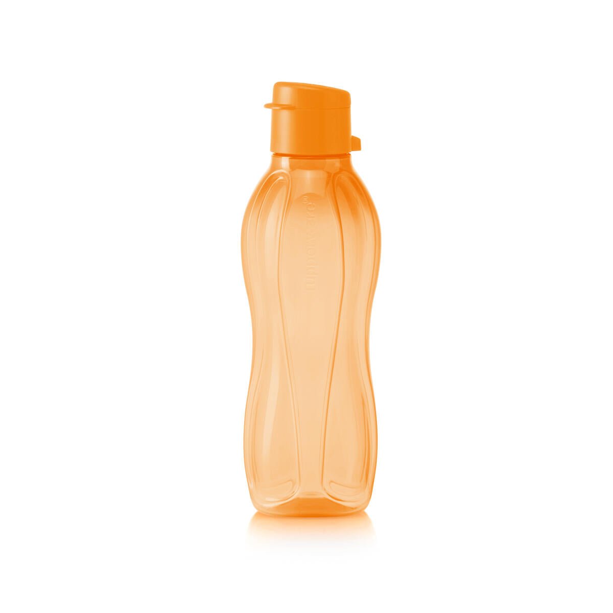 Éco sport+ 310 ml - Tupperware Europe