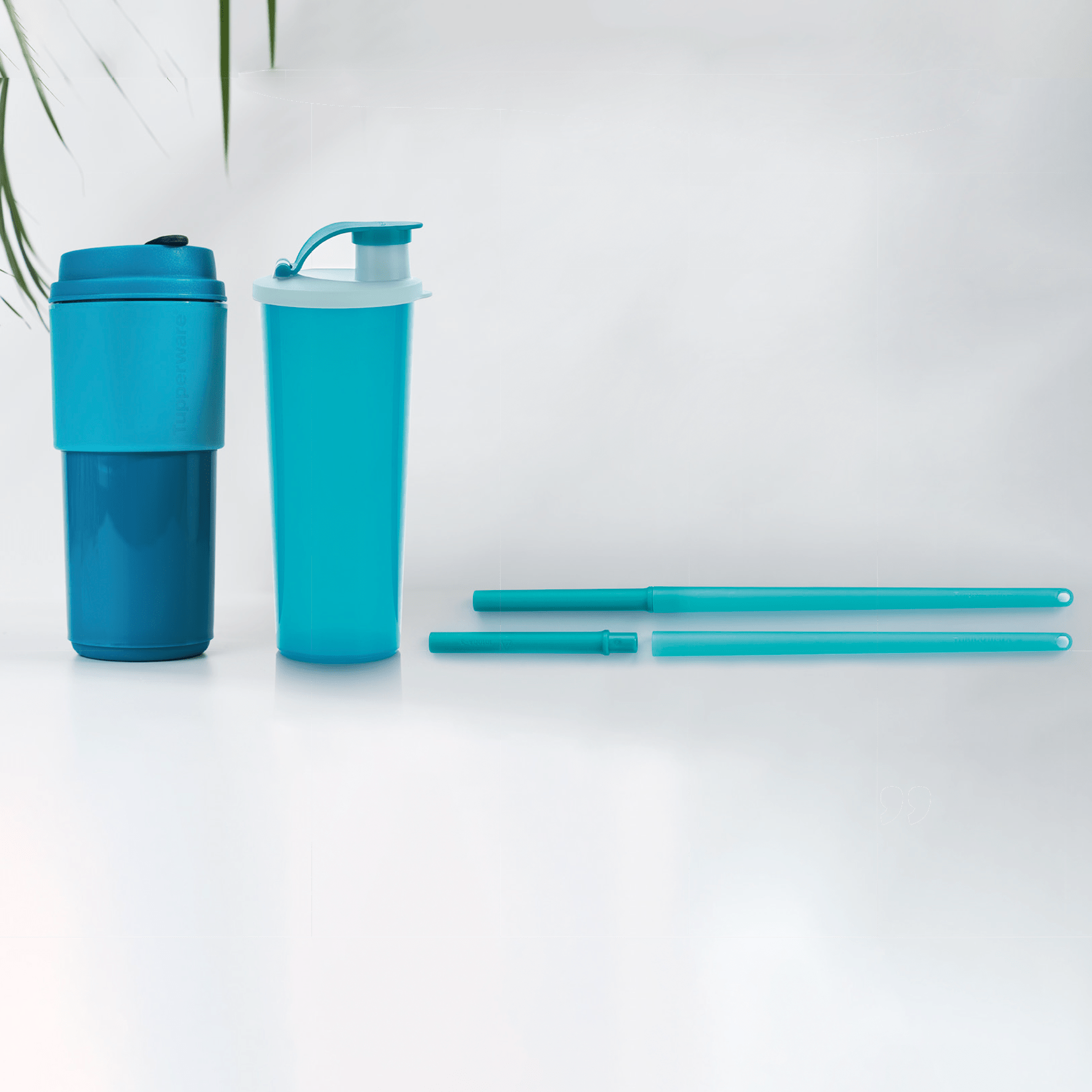 Éco straw (turquoise) - Tupperware Europe