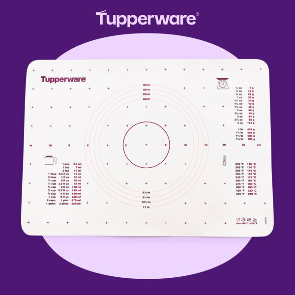 Baking sheet (eggplant) – TUPPERWARE FRANCE