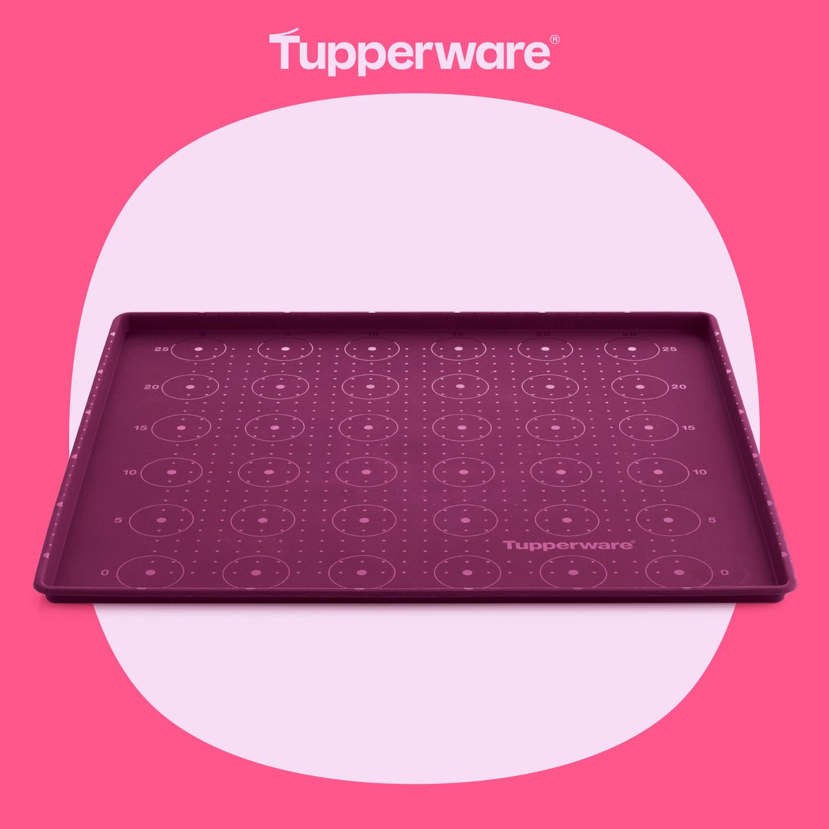 Feuille à rebords - Tupperware Europe