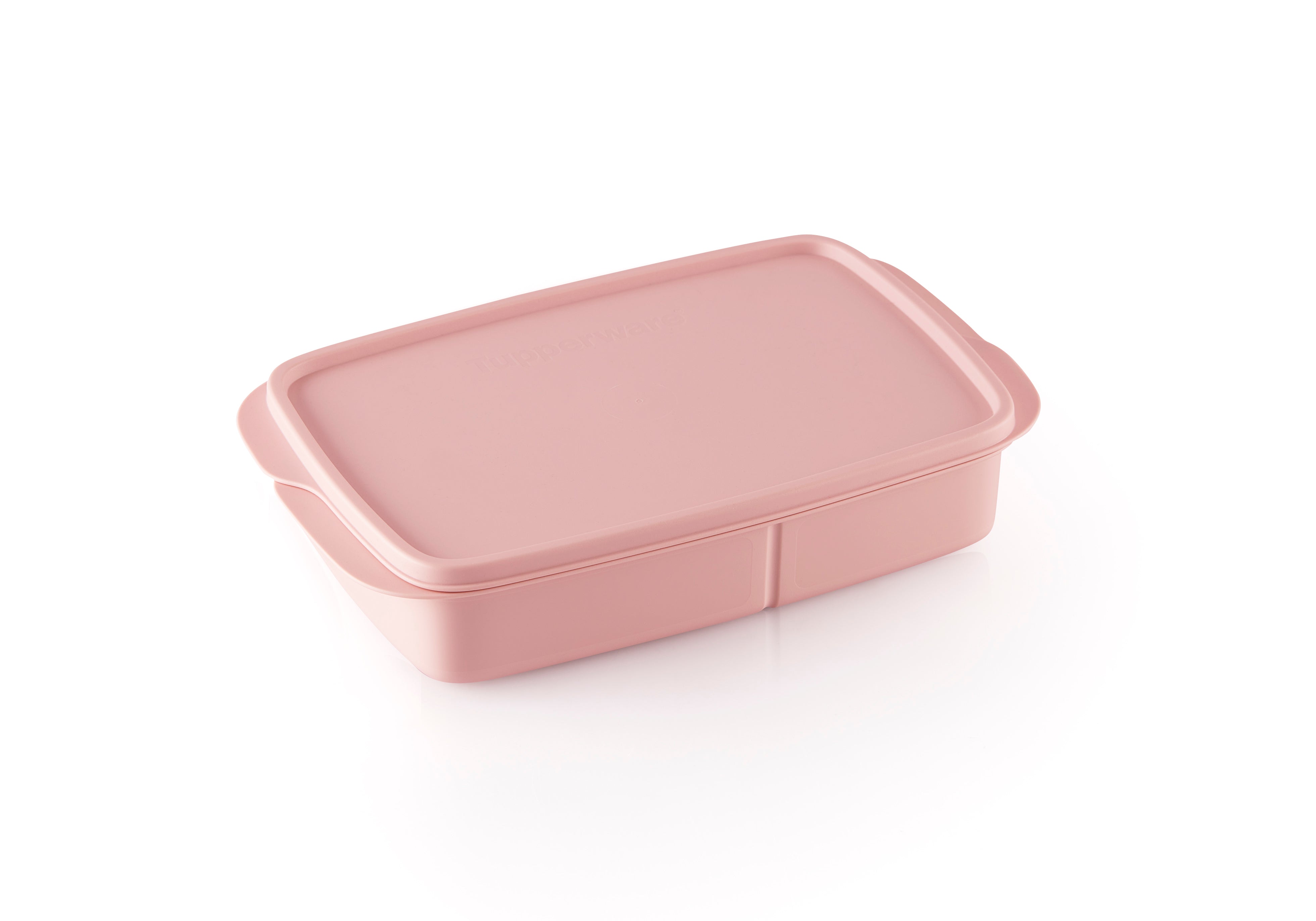 Lunch Box medium
