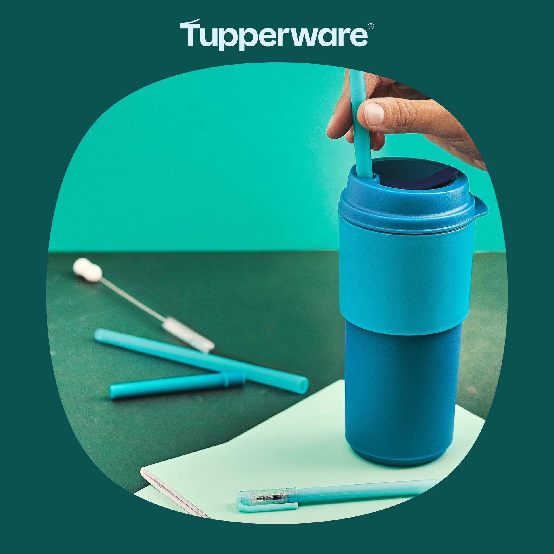 Goupillon Tup - Tupperware Europe