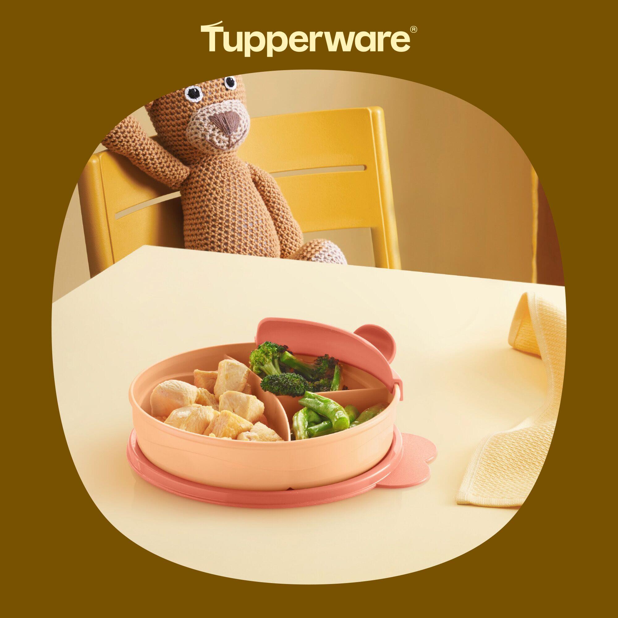 Assiette compartimentée bébé à poignée Tupperware® – OOBO
