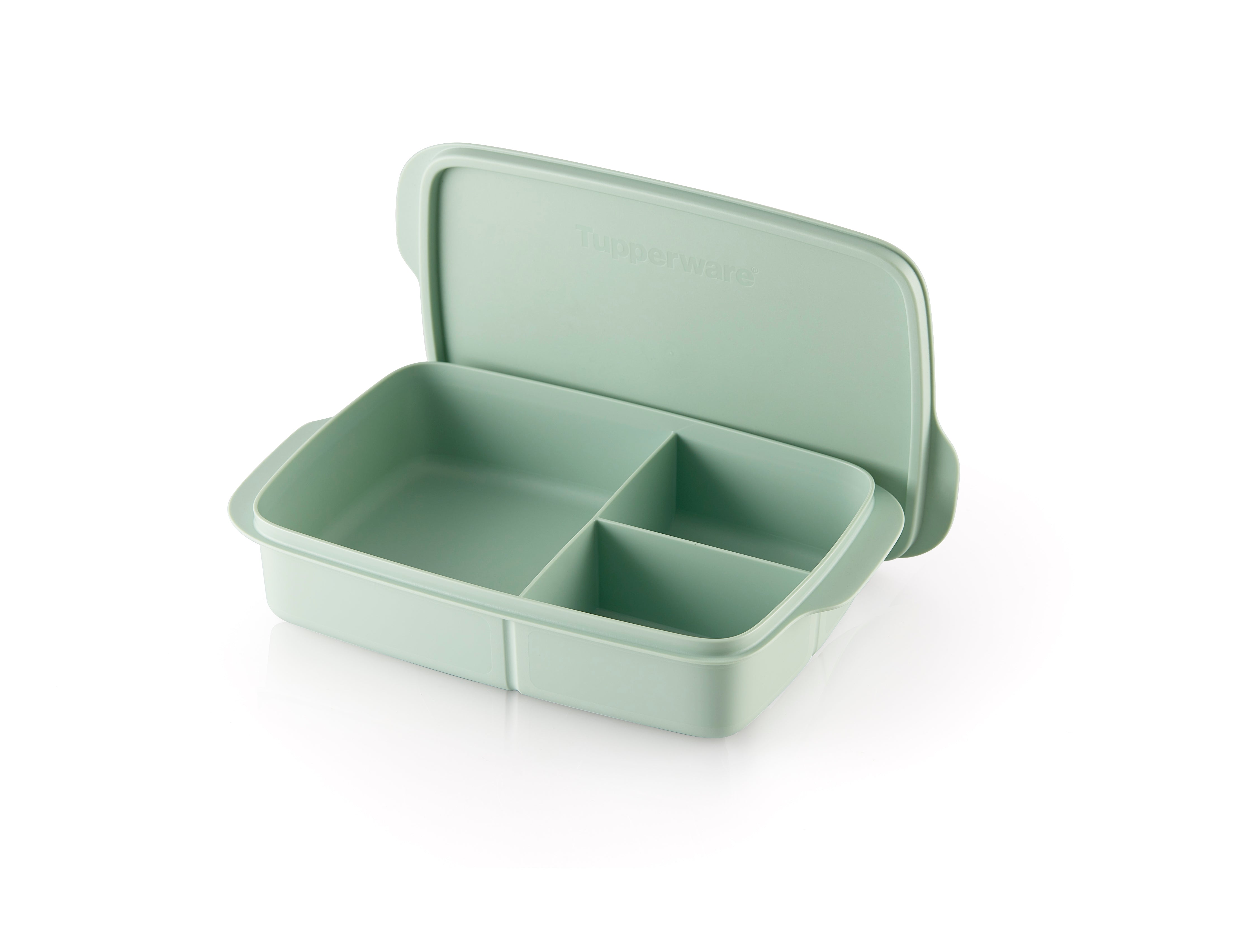 Lunch Box medium