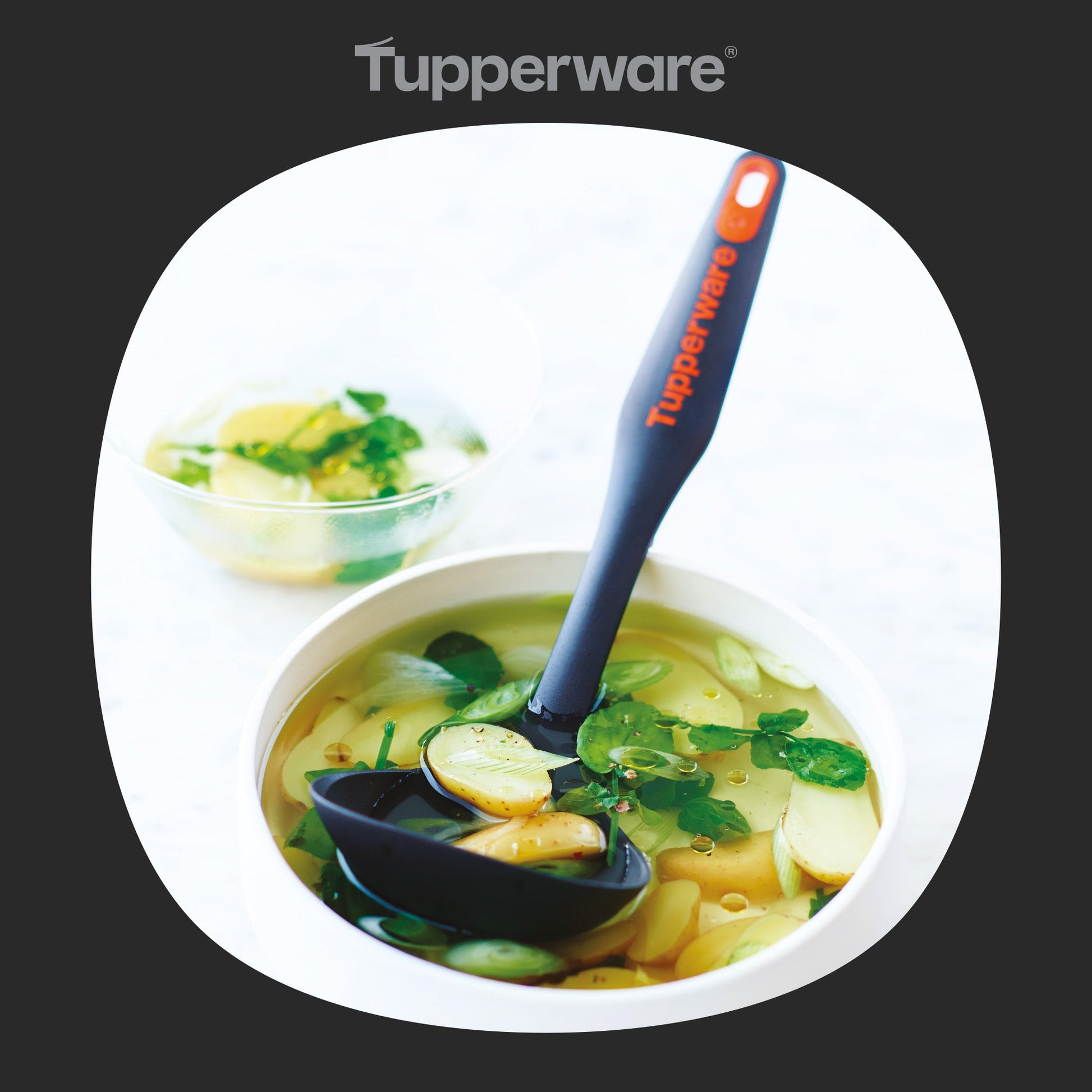 Louche - Tupperware Europe