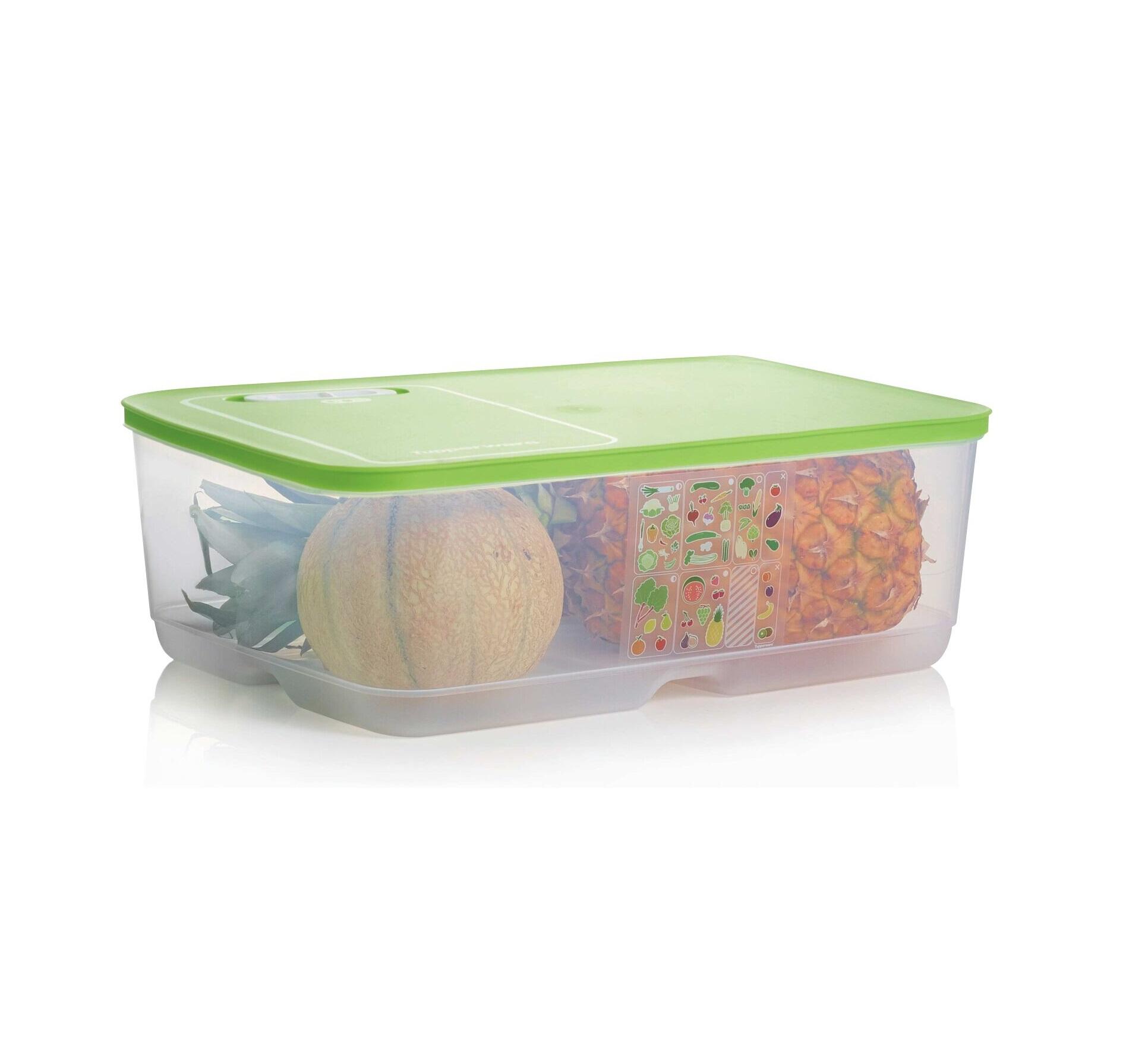 Max Caja VentilOfrais 9,9 l – OOBO – TUPPERWARE FRANCE