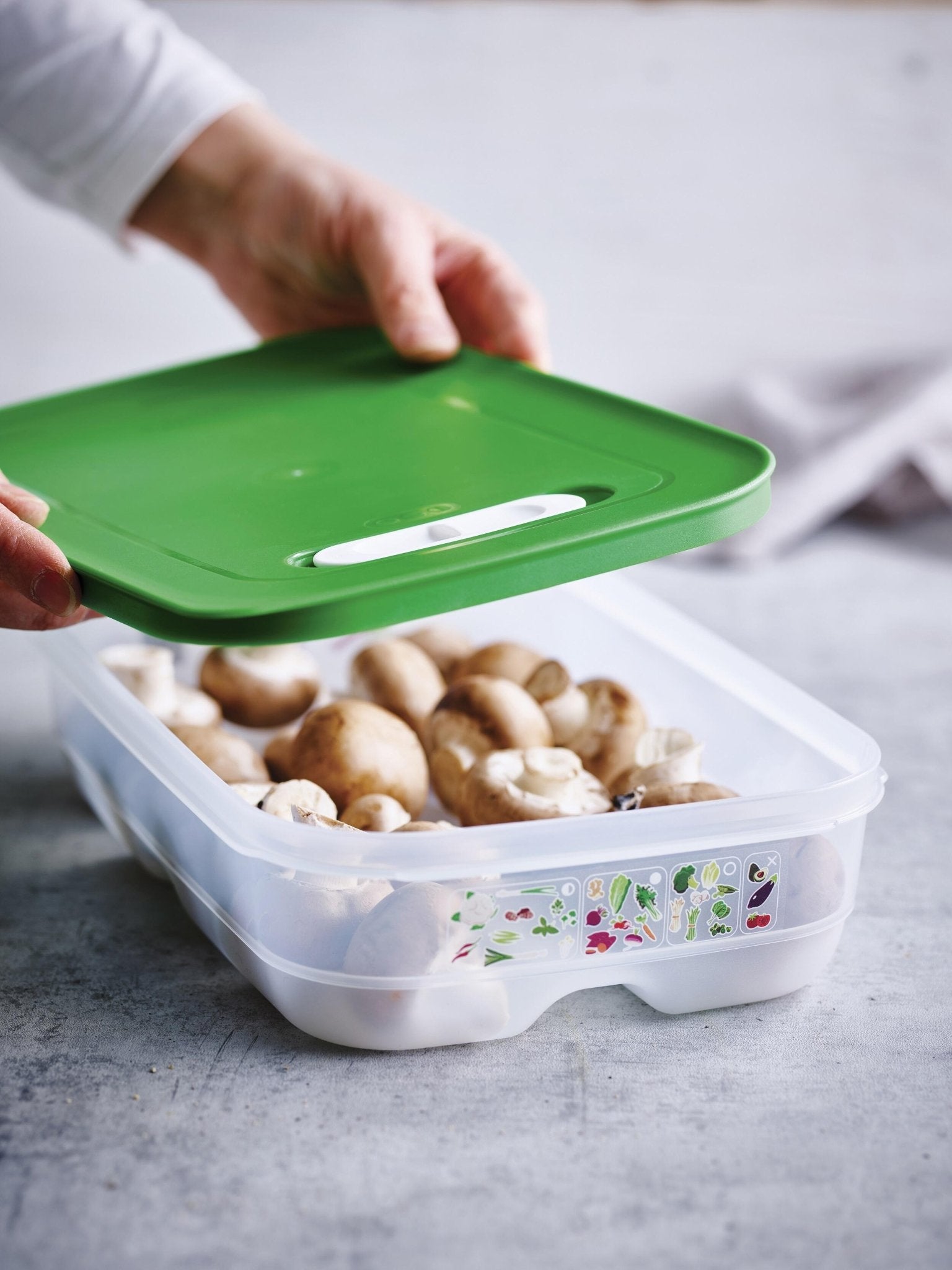 Max Boîte VentilOfrais 9,9 l - Tupperware Europe
