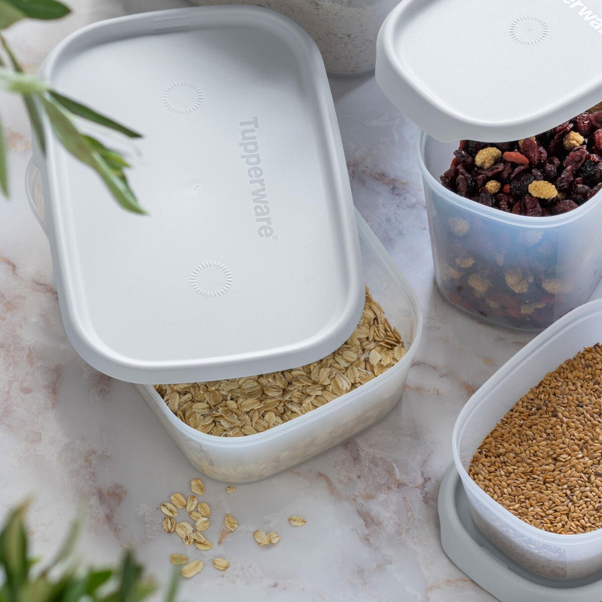 Modulaire pouce rectangle 1,3 l (gris) - Tupperware Europe