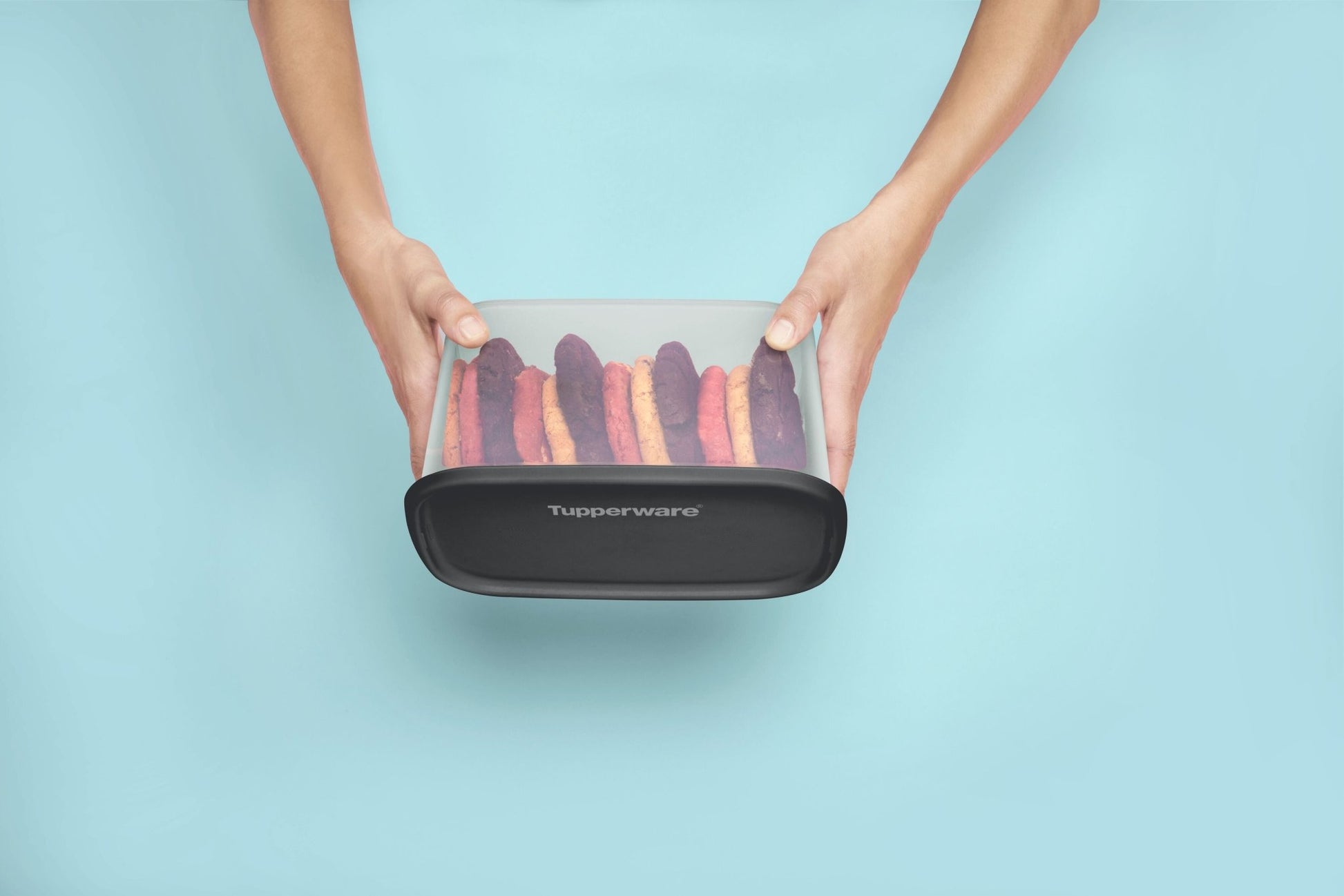 Modulaire pouce rectangle 4,4 l (noire) - Tupperware Europe