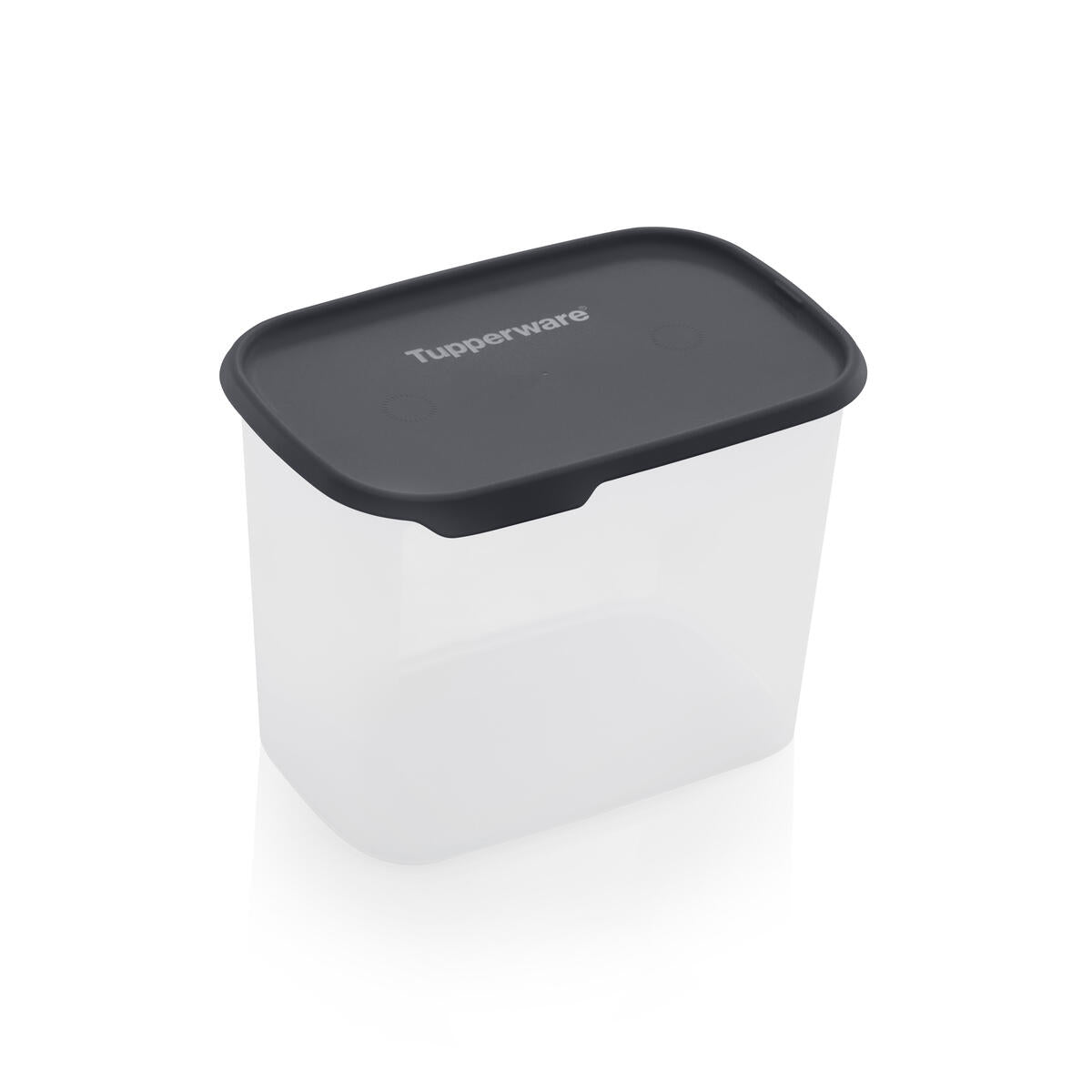 Modulaire pouce rectangle 4,4 l - Tupperware Europe
