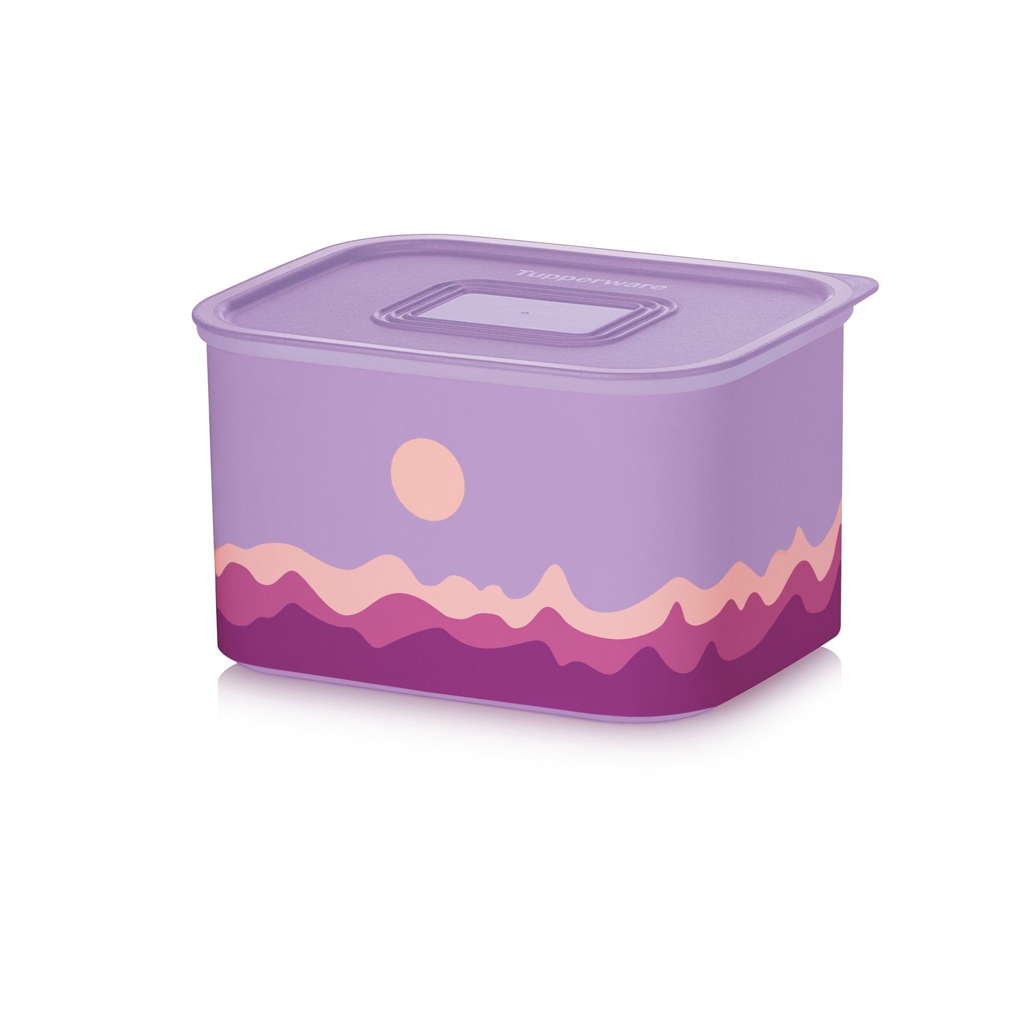 Boîte de conservation hermétique 1,3 l Tupperware® – OOBO