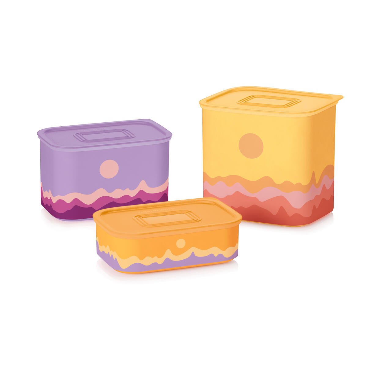 Boîte de conservation hermétique 500 ml Tupperware® – OOBO