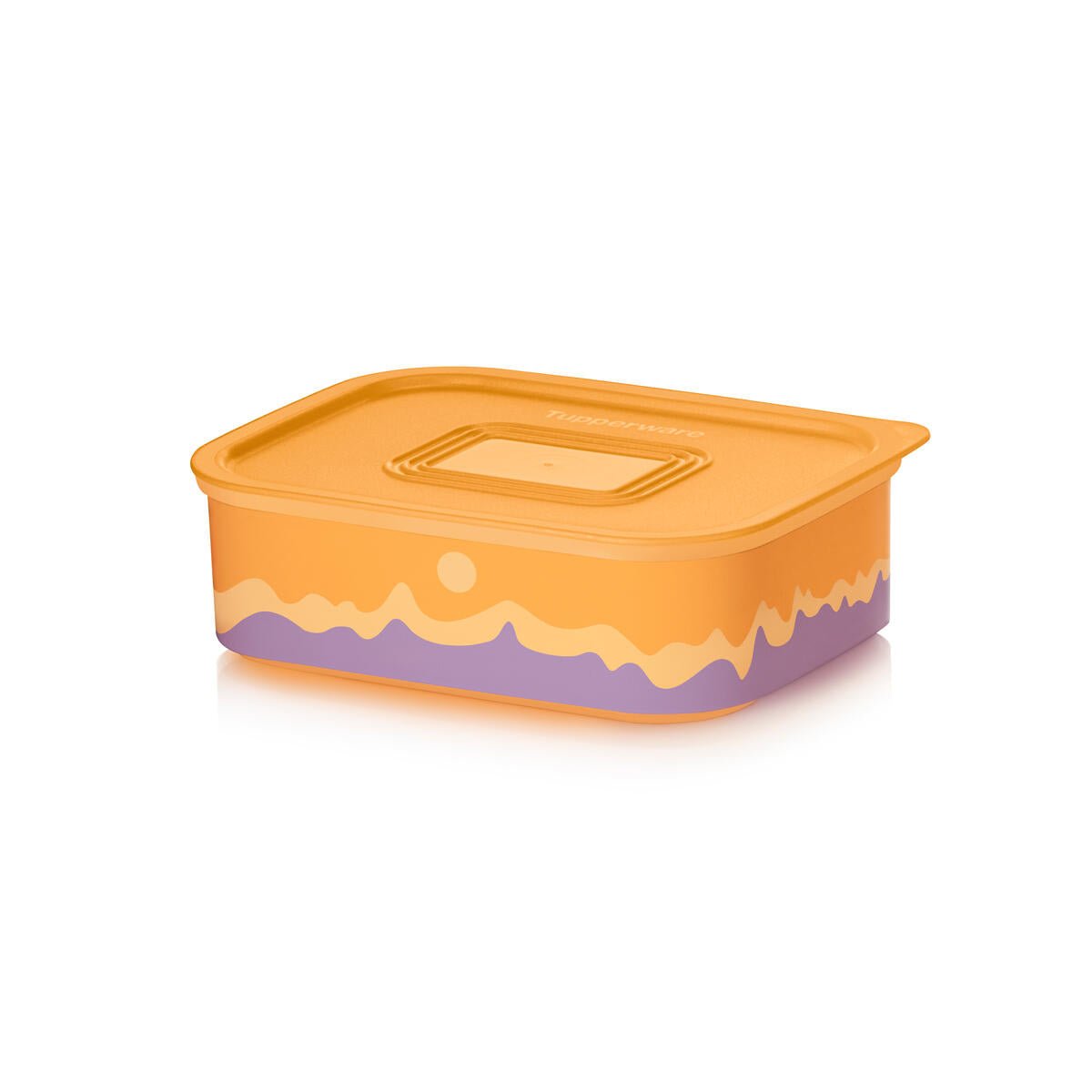Boîte de conservation hermétique 500 ml Tupperware® – OOBO – TUPPERWARE FRANCE