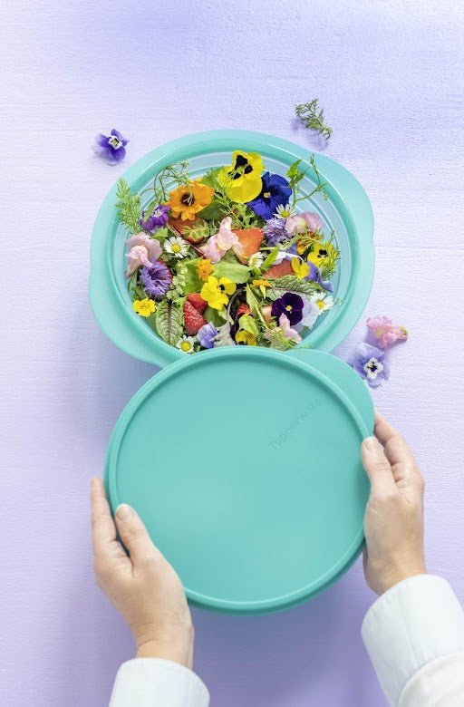 Saladier pliable Mini max 1,5 l - Tupperware Europe