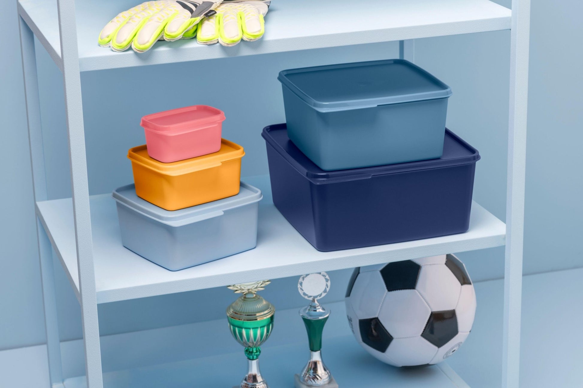 Set de 3 boîtes Maline (1,2l - 2,5l - 5l) - Tupperware Europe