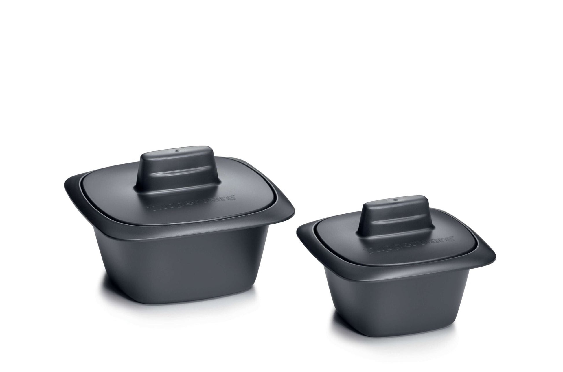 Terrine Ultra Pro 500 ml - Tupperware Europe