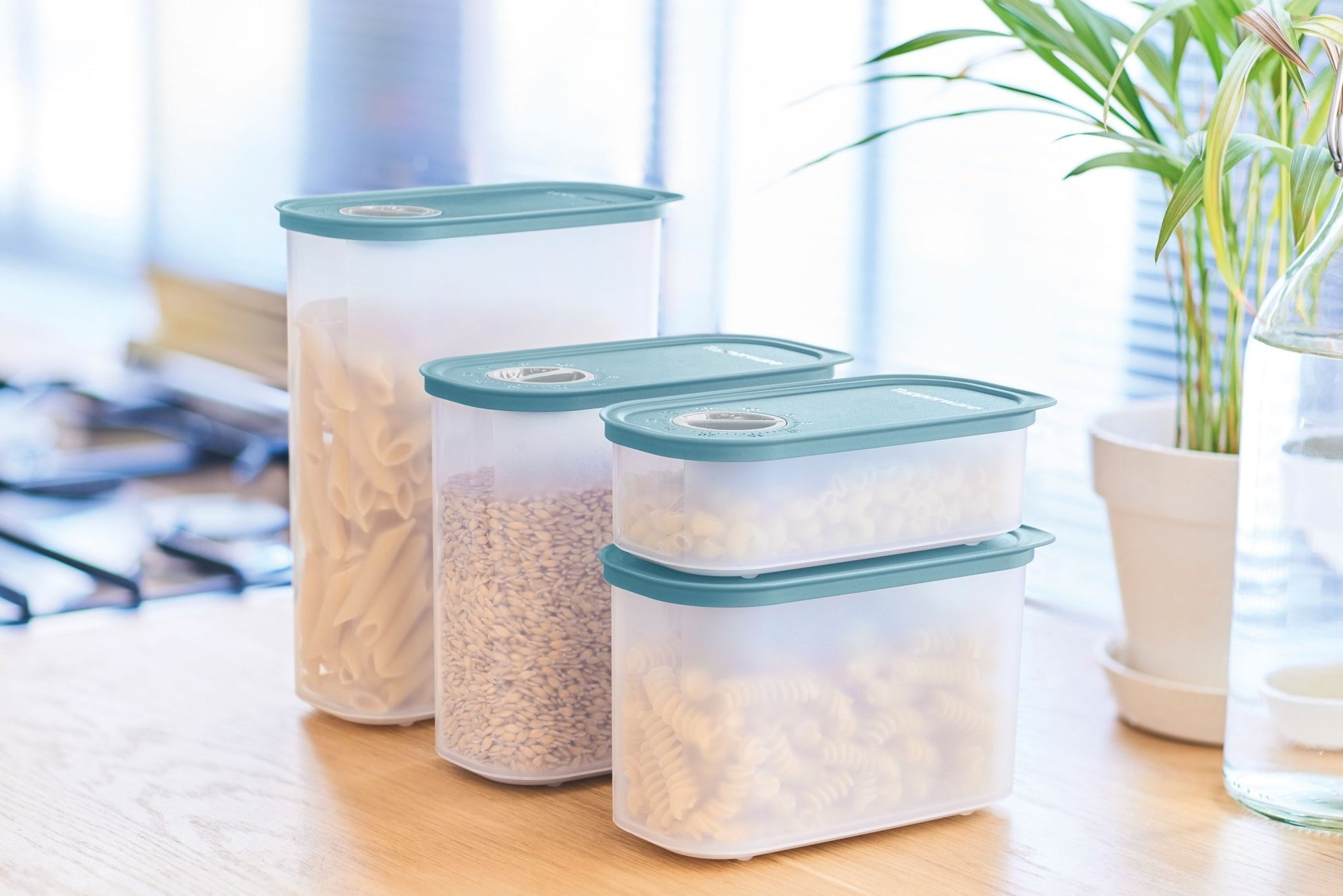 Time Keeper oval 320 ml - Tupperware Europe