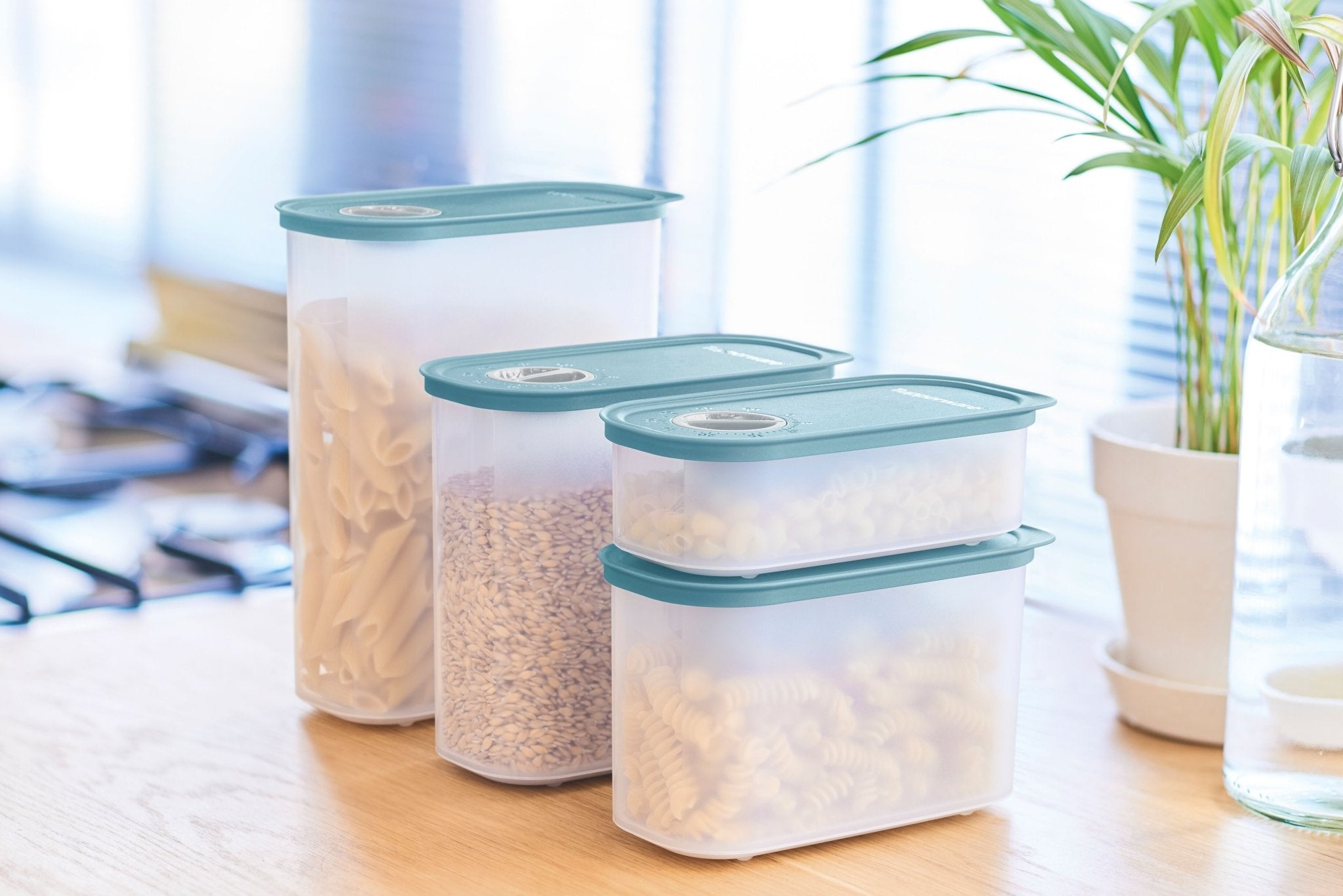 Time Keeper oval 320 ml - Tupperware Europe