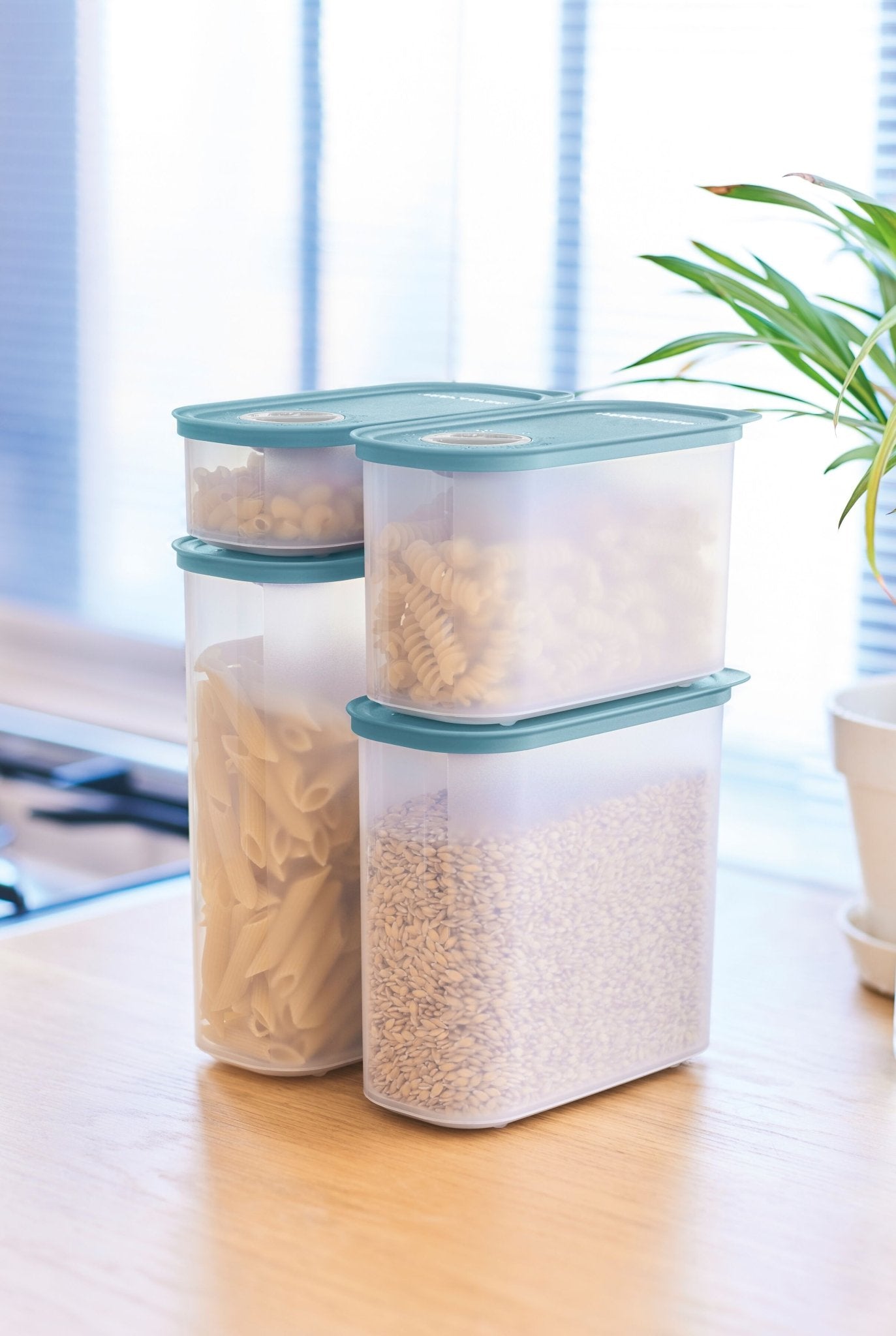 Time Keeper Oval 800 ml - Tupperware Europe